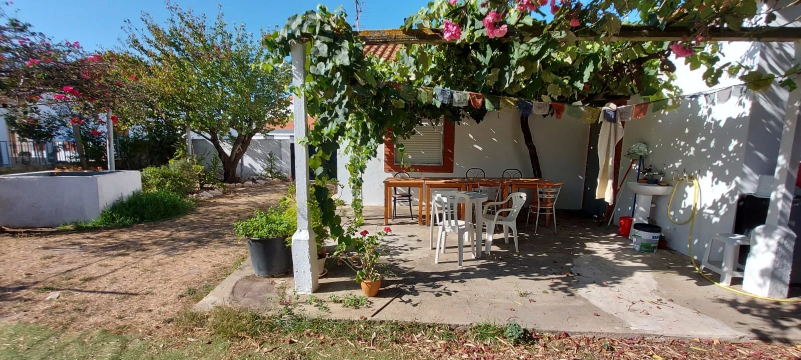 FARM FOR SALE | DOWNTOWN ST. ANTÓNIO DA CHARNECA